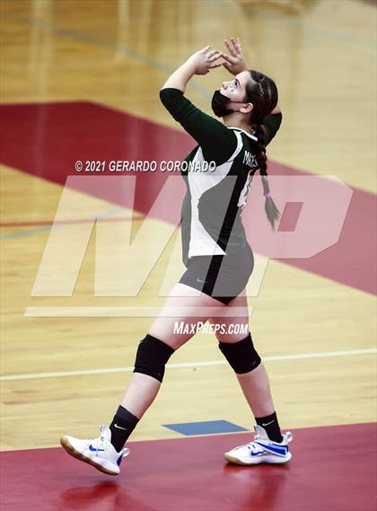 Thumbnail 2 in Manteca photogallery.