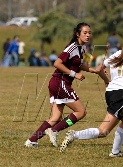 Thumbnail 1 in Millennium vs. Riverbank (Buffalo Cup) photogallery.