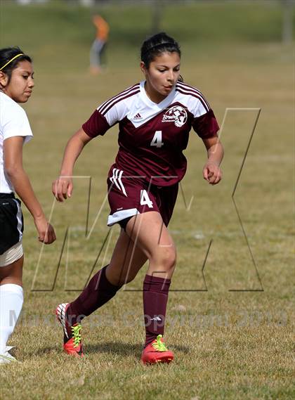 Thumbnail 1 in Millennium vs. Riverbank (Buffalo Cup) photogallery.
