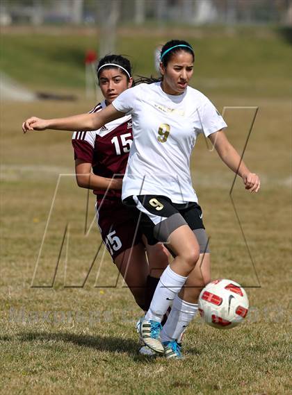 Thumbnail 1 in Millennium vs. Riverbank (Buffalo Cup) photogallery.
