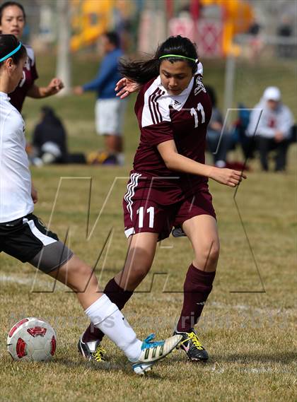 Thumbnail 1 in Millennium vs. Riverbank (Buffalo Cup) photogallery.