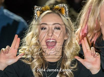 Thumbnail 2 in Mansfield Timberview @ Mansfield Legacy photogallery.