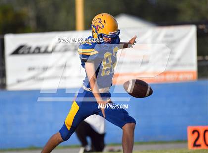 Thumbnail 2 in Jones @ Auburndale photogallery.