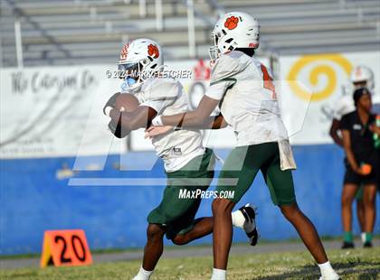 Thumbnail 3 in Jones @ Auburndale photogallery.