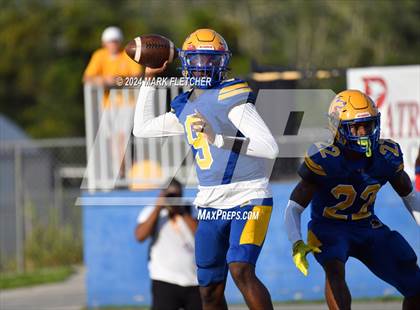 Thumbnail 2 in Jones @ Auburndale photogallery.