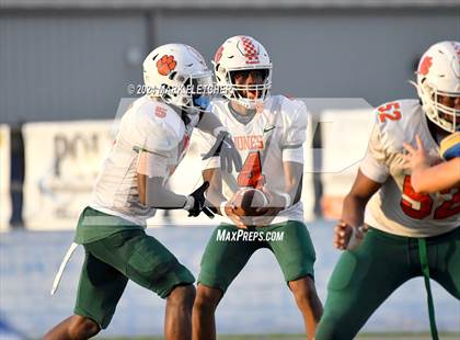 Thumbnail 2 in Jones @ Auburndale photogallery.