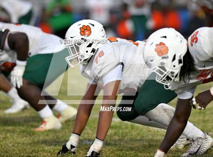 Thumbnail 1 in Jones @ Auburndale photogallery.