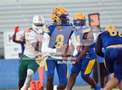 Thumbnail 1 in Jones @ Auburndale photogallery.