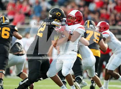 Thumbnail 3 in Greenville @ Crandall photogallery.
