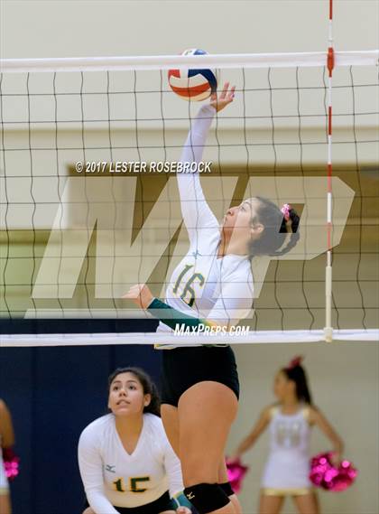 Thumbnail 3 in Warren @ Holmes photogallery.