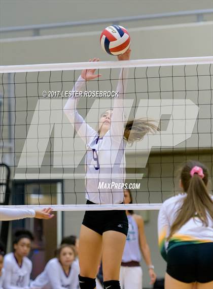 Thumbnail 3 in Warren @ Holmes photogallery.