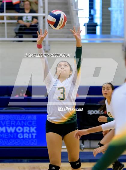 Thumbnail 1 in Warren @ Holmes photogallery.
