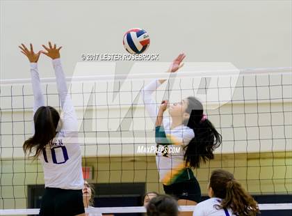 Thumbnail 3 in Warren @ Holmes photogallery.