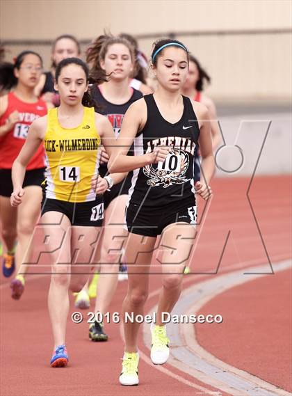 Thumbnail 2 in Track & Field Bay Counties (CIF BCL Finals) photogallery.