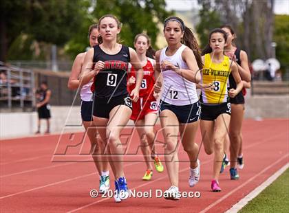 Thumbnail 1 in Track & Field Bay Counties (CIF BCL Finals) photogallery.