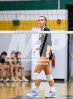 Photo from the gallery "Community School of Davidson @ Bandys"