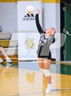 Photo from the gallery "Community School of Davidson @ Bandys"