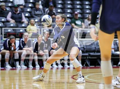 Thumbnail 3 in Brandeis vs. Keller (UIL Volleyball 6A Finals) photogallery.