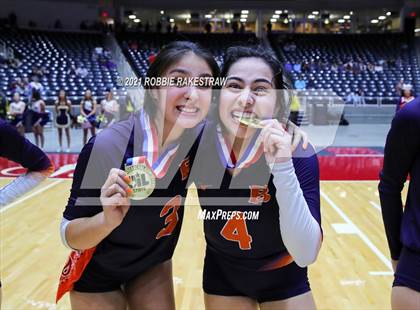 Thumbnail 2 in Brandeis vs. Keller (UIL Volleyball 6A Finals) photogallery.