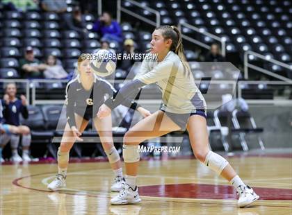 Thumbnail 3 in Brandeis vs. Keller (UIL Volleyball 6A Finals) photogallery.