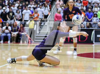 Thumbnail 3 in Brandeis vs. Keller (UIL Volleyball 6A Finals) photogallery.