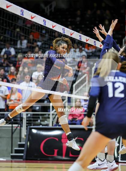 Thumbnail 1 in Brandeis vs. Keller (UIL Volleyball 6A Finals) photogallery.