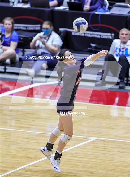 Thumbnail 1 in Brandeis vs. Keller (UIL Volleyball 6A Finals) photogallery.
