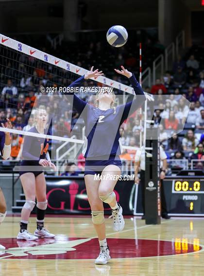 Thumbnail 1 in Brandeis vs. Keller (UIL Volleyball 6A Finals) photogallery.