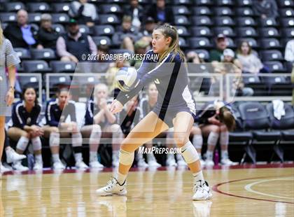 Thumbnail 2 in Brandeis vs. Keller (UIL Volleyball 6A Finals) photogallery.