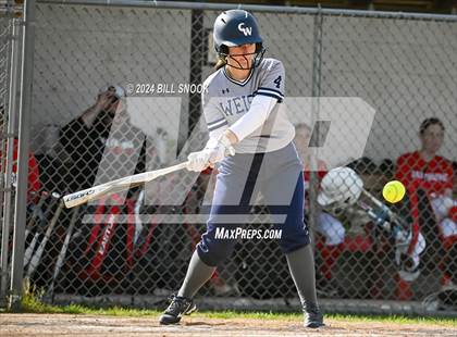 Thumbnail 1 in Conrad Weiser @ Hamburg photogallery.