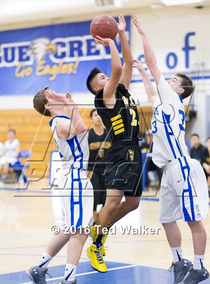 Thumbnail 2 in Wilcox @ Los Altos photogallery.