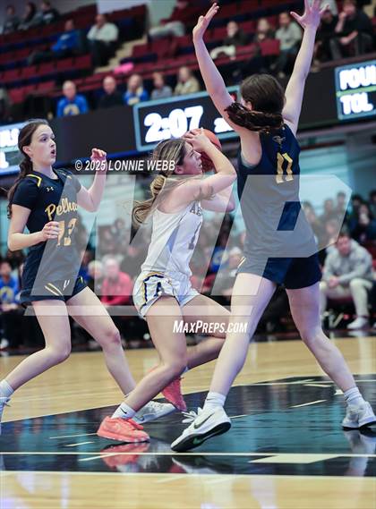 Thumbnail 2 in Pelham Memorial vs. Ardsley (NYSPHSAA Section 1 Class A Final) photogallery.