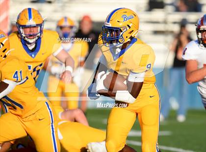 Thumbnail 2 in Greenback @ Boyd-Buchanan photogallery.