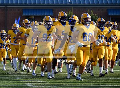 Thumbnail 2 in Greenback @ Boyd-Buchanan photogallery.