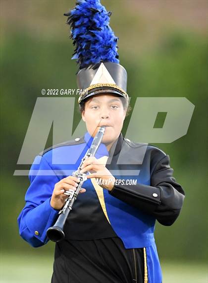 Thumbnail 3 in Greenback @ Boyd-Buchanan photogallery.
