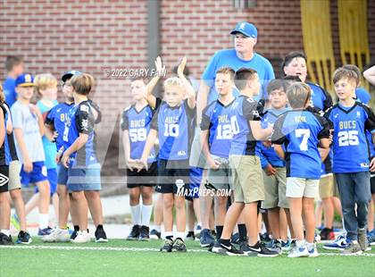 Thumbnail 1 in Greenback @ Boyd-Buchanan photogallery.