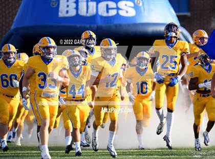 Thumbnail 3 in Greenback @ Boyd-Buchanan photogallery.