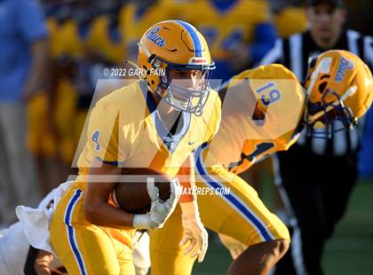 Thumbnail 3 in Greenback @ Boyd-Buchanan photogallery.