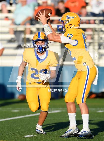 Thumbnail 2 in Greenback @ Boyd-Buchanan photogallery.