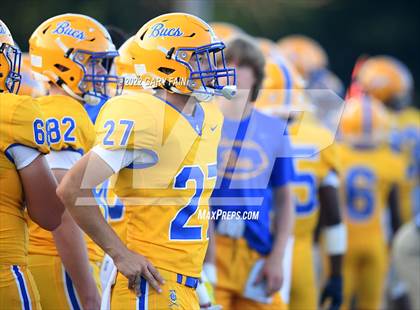 Thumbnail 2 in Greenback @ Boyd-Buchanan photogallery.