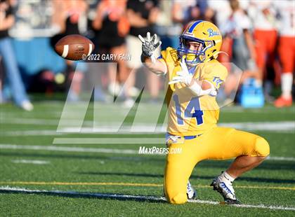 Thumbnail 2 in Greenback @ Boyd-Buchanan photogallery.