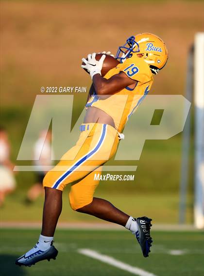 Thumbnail 2 in Greenback @ Boyd-Buchanan photogallery.