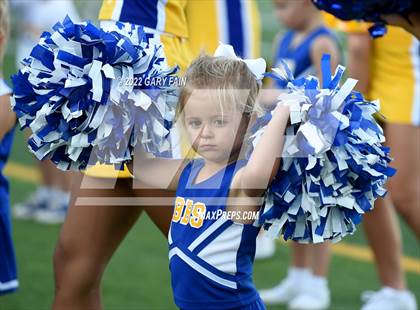Thumbnail 1 in Greenback @ Boyd-Buchanan photogallery.