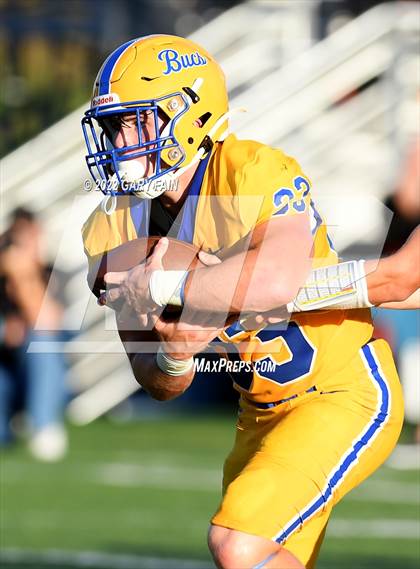 Thumbnail 3 in Greenback @ Boyd-Buchanan photogallery.