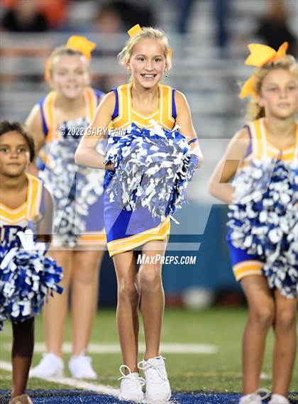 Thumbnail 2 in Greenback @ Boyd-Buchanan photogallery.