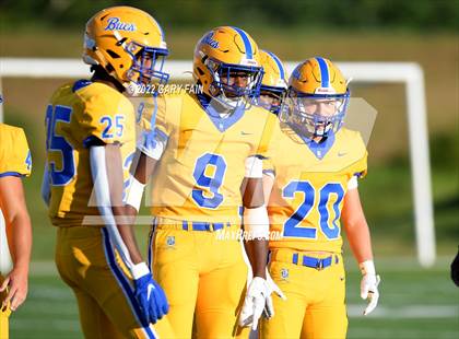 Thumbnail 3 in Greenback @ Boyd-Buchanan photogallery.
