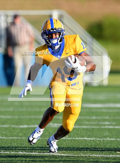 Thumbnail 3 in Greenback @ Boyd-Buchanan photogallery.