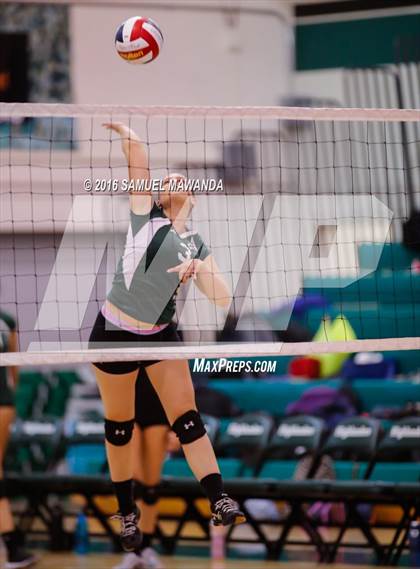 Thumbnail 2 in  Cleveland @ Granada Hills photogallery.