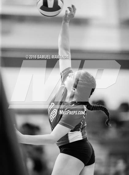 Thumbnail 1 in  Cleveland @ Granada Hills photogallery.