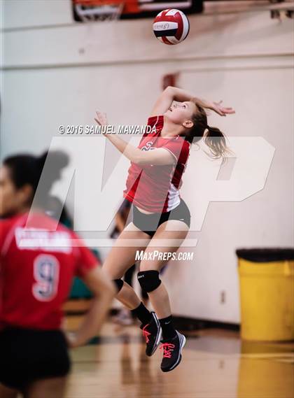 Thumbnail 1 in  Cleveland @ Granada Hills photogallery.